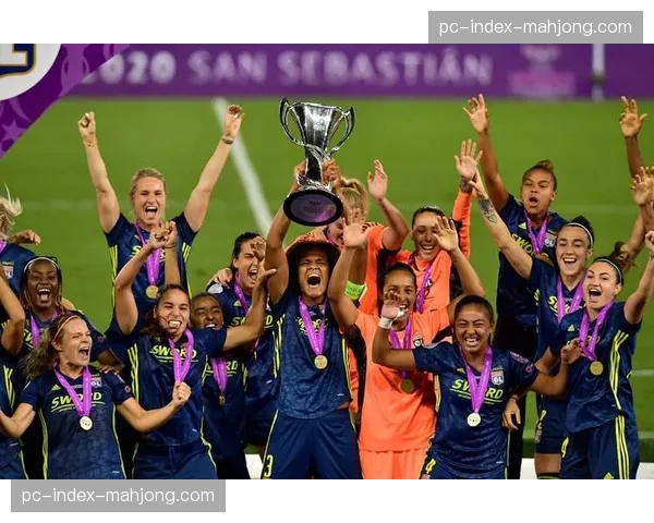 草根足球受益计划：欧足联公布上赛季欧冠转播收入用于基层设施建设明细